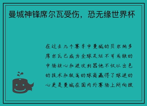 曼城神锋席尔瓦受伤，恐无缘世界杯