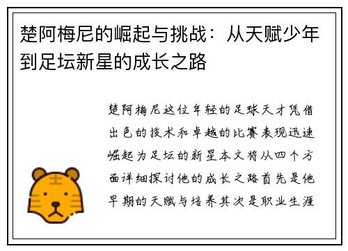 楚阿梅尼的崛起与挑战：从天赋少年到足坛新星的成长之路